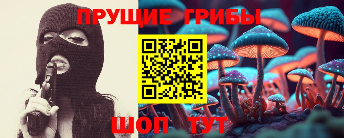 Тихорецк  Псилоцибиновые грибы Cubensis  Вход с VPN  Галлюциногенные грибы ЛСД 